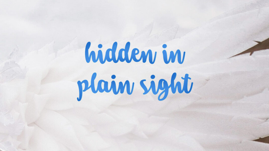 Hidden in Plain Sight: The Crimes Legacy Media Ignores