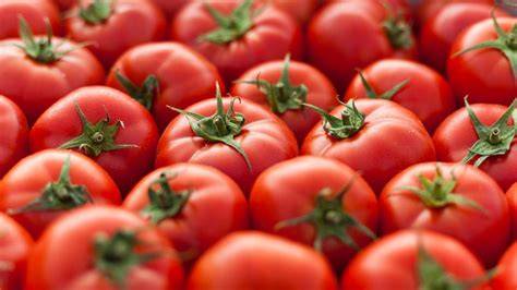 Armenia Remains Silent as Russia Imposes Tomato Import Ban